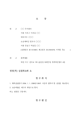 정정심결 취소의 소 정정심결 취소의 소